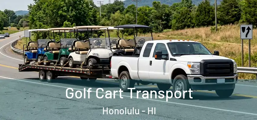 Golf Cart Transport Honolulu - HI